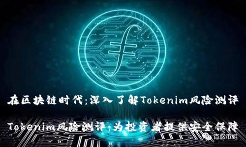 在区块链时代：深入了解Tokenim风险测评

Tokenim风险测评：为投资者提供安全保障