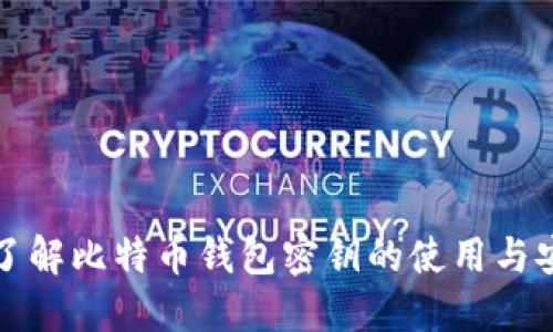 深入了解比特币钱包密钥的使用与安全性