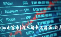 什么是Tokenim山寨币？深入