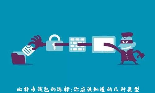 
比特币钱包的选择：你应该知道的几种类型