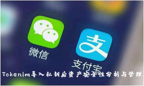 Tokenim导入私钥后资产安全性分析与管理