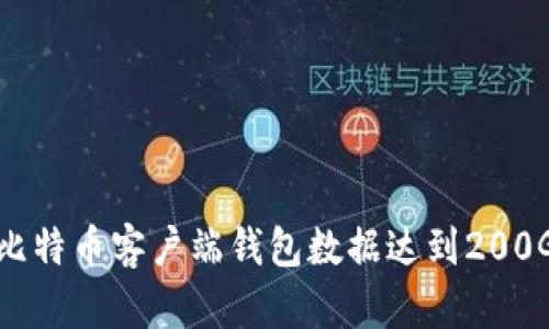 如何处理比特币客户端钱包数据达到200GB的挑战？