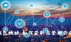 Tokenim钱包地址：如何获取