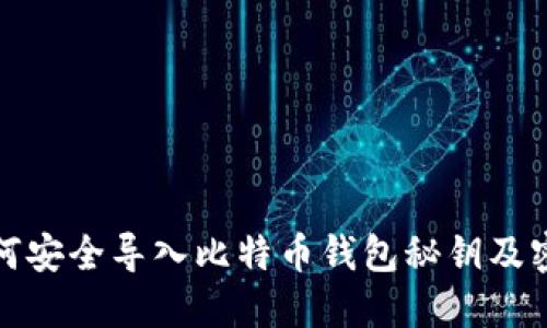 如何安全导入比特币钱包秘钥及密码