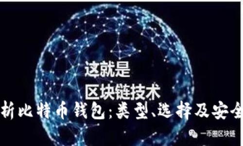 全面解析比特币钱包：类型、选择及安全性指南