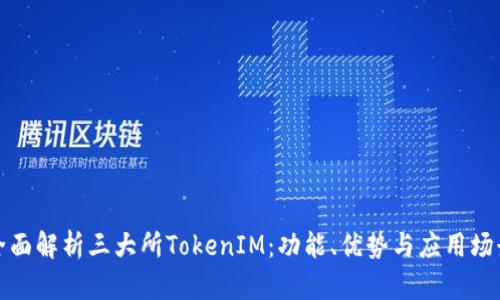 全面解析三大所TokenIM：功能、优势与应用场景