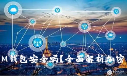 TokenTokenIM钱包安全吗？全面解析加密钱包的安全性