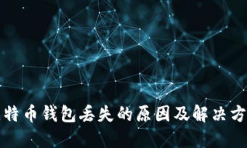 比特币钱包丢失的原因及解决方案