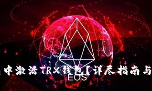 如何在im钱包中激活TRX钱包？详尽指南与常见问题解析