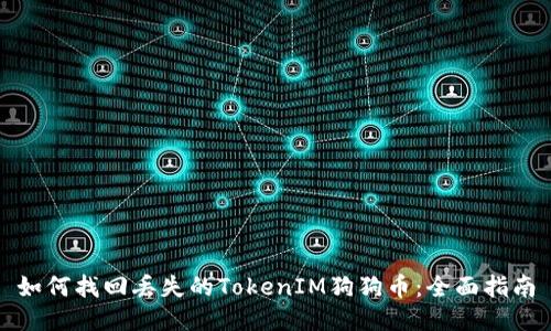 如何找回丢失的TokenIM狗狗币：全面指南