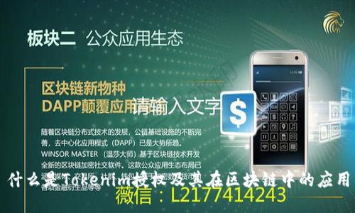 什么是Tokenim授权及其在区块链中的应用