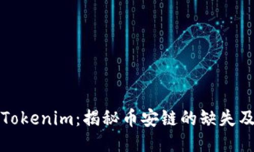 ### Tokenim：揭秘币安链的缺失及其影响