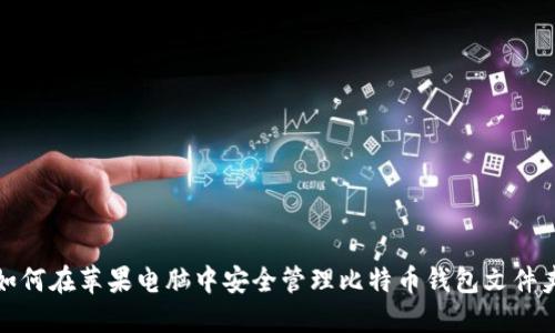 如何在苹果电脑中安全管理比特币钱包文件夹