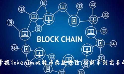 轻松掌握Tokenim比特币收款方法：从新手到高手的指南