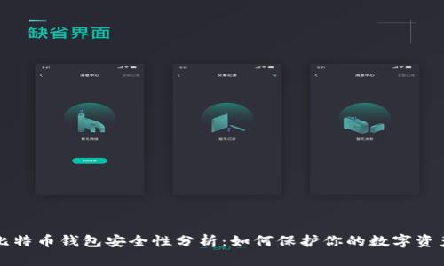 比特币钱包安全性分析：如何保护你的数字资产