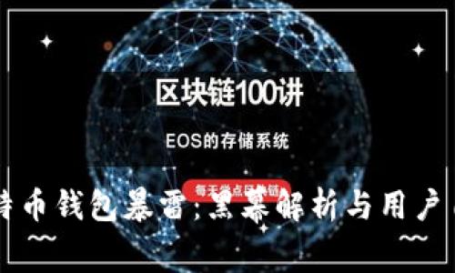 国内比特币钱包暴雷：黑幕解析与用户自救指南