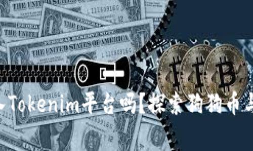 : 小狗币Dog能存入Tokenim平台吗？探索狗狗币与Tokenim的兼容性