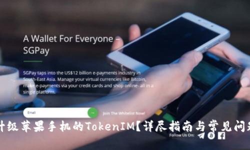 如何升级苹果手机的TokenIM？详尽指南与常见问题解析