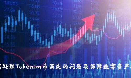 如何处理Tokenim币消失的问题及保障数字资产安全