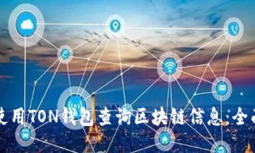 如何使用TON钱包查询区块链信息：全面指南