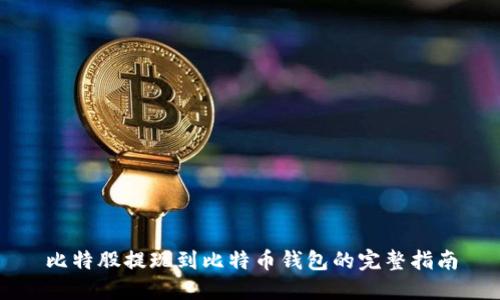 比特股提现到比特币钱包的完整指南