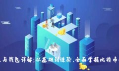 比特币节点与钱包详解：