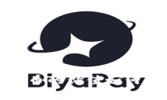 ### Tokenim币的价值如何显示