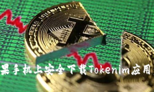 如何在苹果手机上安全下载Tokenim应用：完整指南