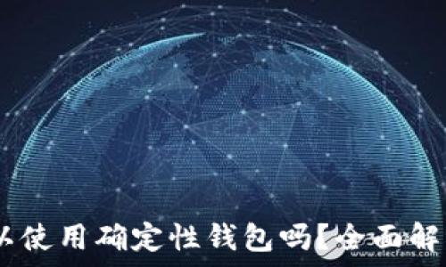   
USDT可以使用确定性钱包吗？全面解析与应用