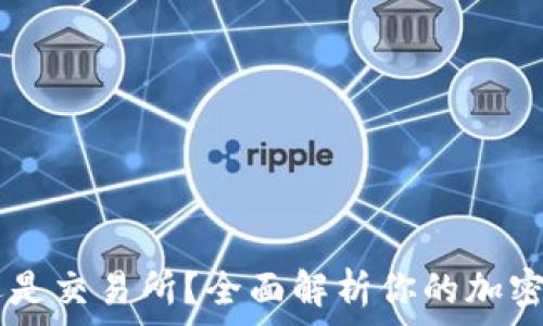   
SHIB放钱包还是交易所？全面解析你的加密资产存储选择