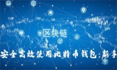 如何安全高效使用比特币钱包：新手指南