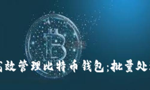 如何高效管理比特币钱包：批量处理指南