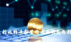 全面解析：支持比特币和