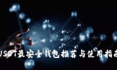USDT最安全钱包推荐与使用