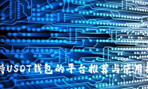 支持USDT钱包的平台推荐与使用指南
