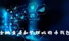 如何安全地查看和管理比特币钱包的私钥