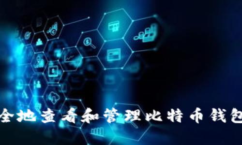 如何安全地查看和管理比特币钱包的私钥