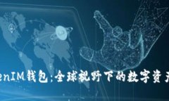 TokenTokenIM钱包：全球视野