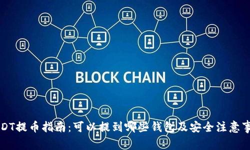 USDT提币指南：可以提到哪些钱包及安全注意事项