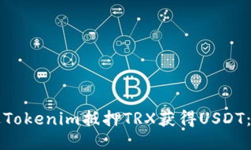 如何通过Tokenim抵押TRX获得USDT：详尽指南