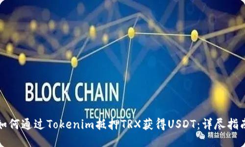 如何通过Tokenim抵押TRX获得USDT：详尽指南
