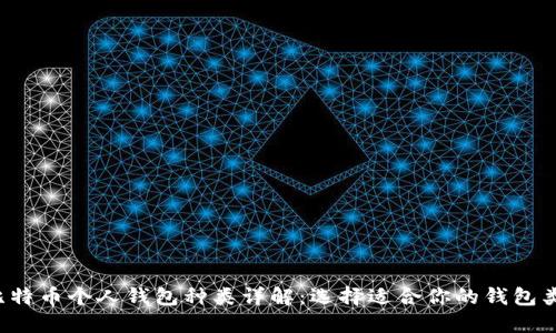  比特币个人钱包种类详解：选择适合你的钱包类型