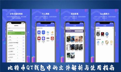 
比特币QT钱包中的文件解析与使用指南