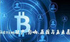 Tokenim破产：影响、原因与