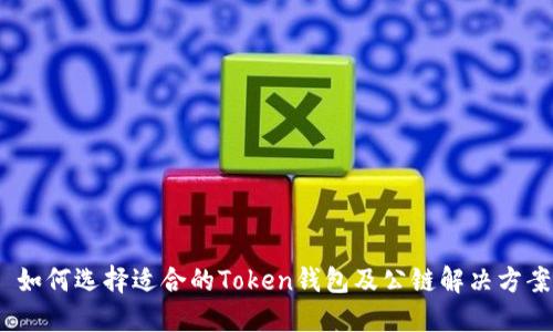   如何选择适合的Token钱包及公链解决方案 