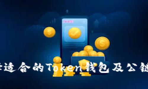   如何选择适合的Token钱包及公链解决方案 