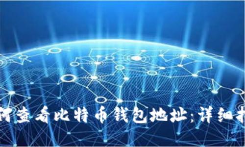 如何查看比特币钱包地址：详细指南