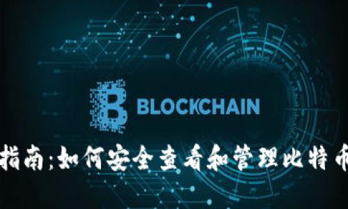 全面指南：如何安全查看和管理比特币钱包