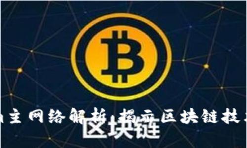 Tokenim主网络解析：揭示区块链技术的未来