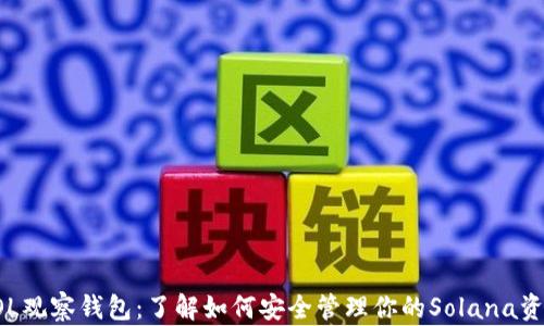 
SOL观察钱包：了解如何安全管理你的Solana资产